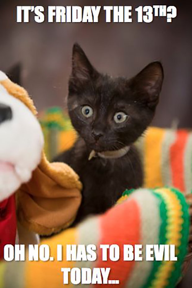 Friday the 13th memes Friday the 13th memes