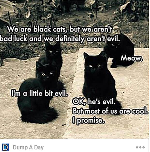 Friday the 13th memes Friday the 13th memes