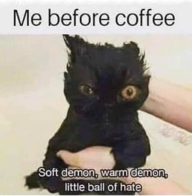 coffee memes