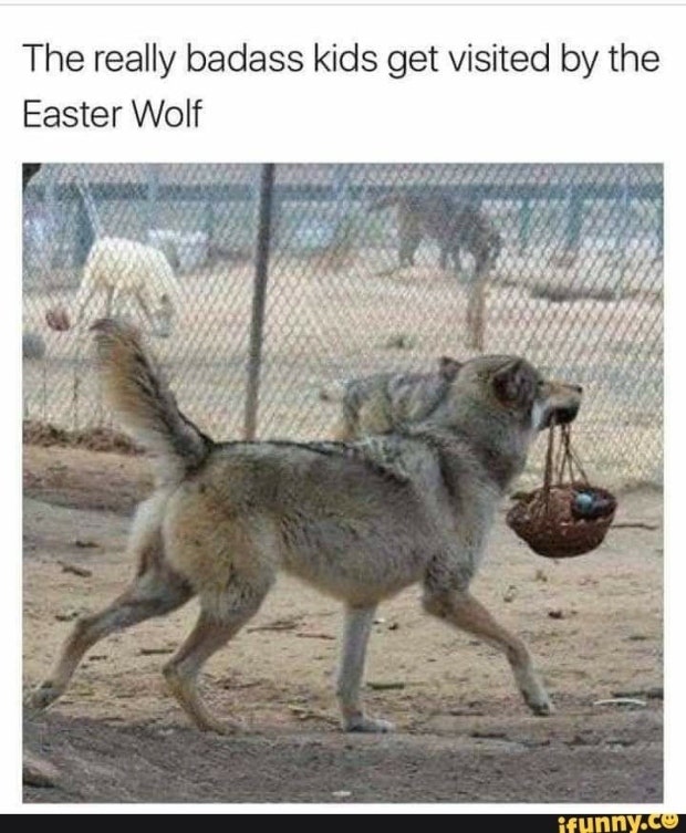 funny easter memes funny easter memes
