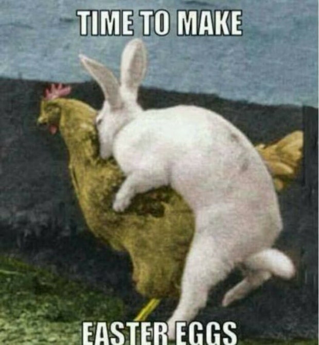 funny easter memes easter memes