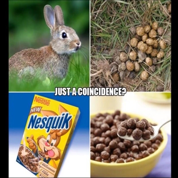 funny easter memes easter memes