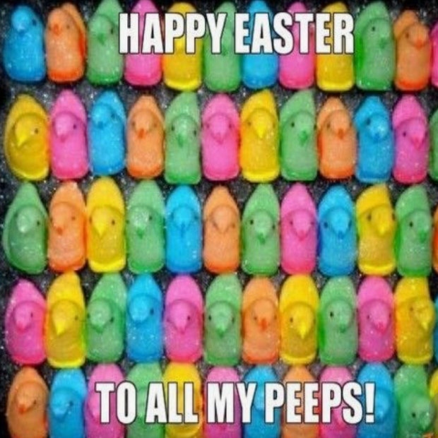 funny easter memes funny easter memes
