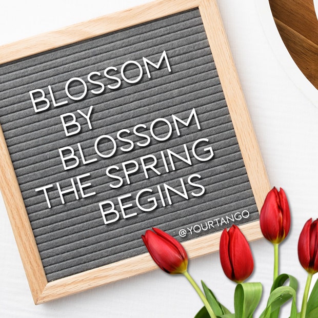 easter letter board quote ideas algernon charles swinburne spring letter board quotes