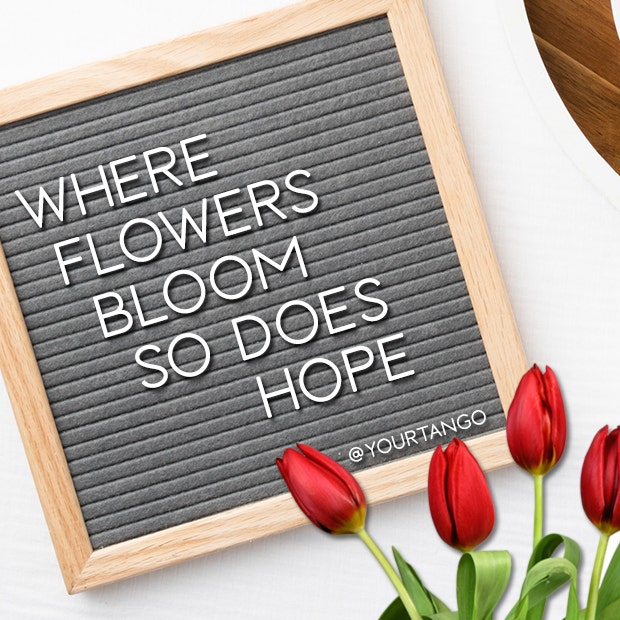 easter letter board quote ideas lady bird johnson spring letter board quotes