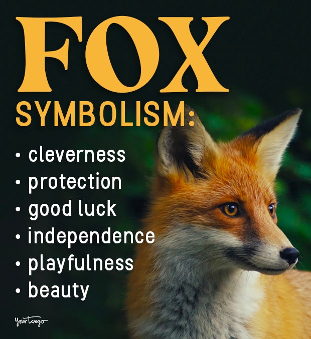 fox symbolism and meanings fox symbolism and meanings