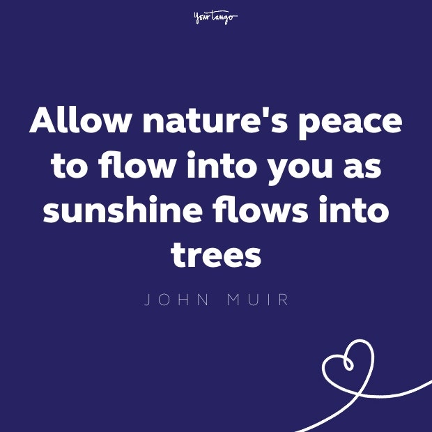 allow nature's peace to flow into you as sunshine flows through trees