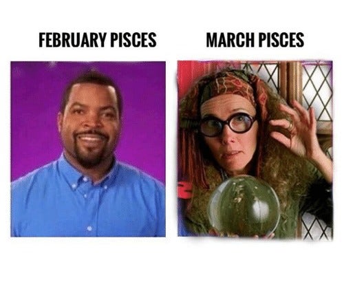 Best Pisces Memes