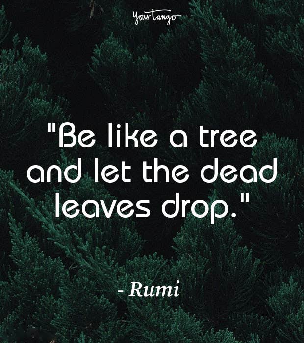rumi quotes rumi quotes