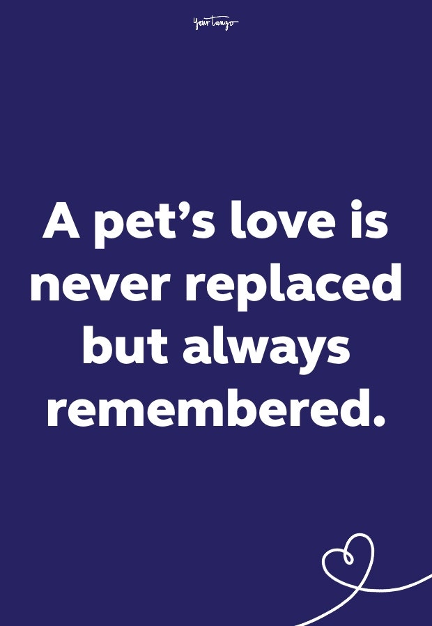 words of comfort words of comfort