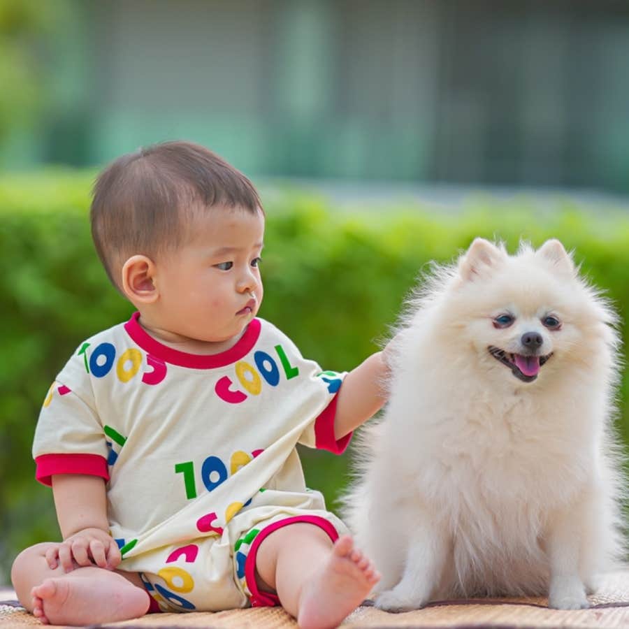 mom calls woman rude for fawning over puppy but not her baby